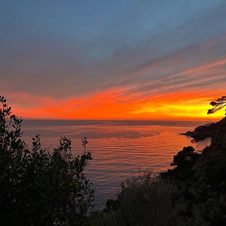 ⭑ Sea Views + Private Beach. What Else? ⭑ Tossa de Mar Eksteriør billede