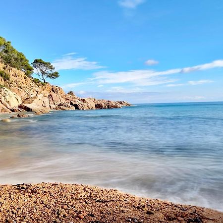 ⭑ Sea Views + Private Beach. What Else? ⭑ Tossa de Mar Eksteriør billede